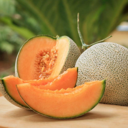 Muskmelon
